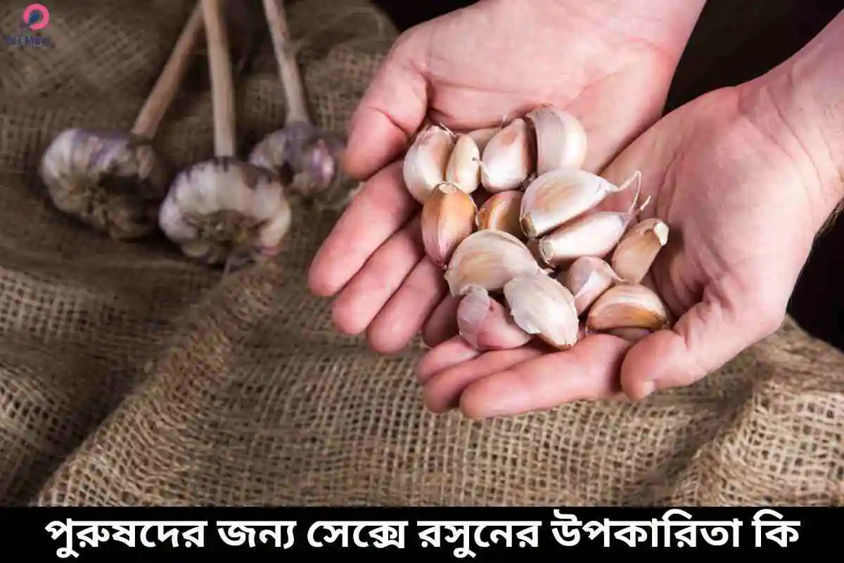 সেক্সে রসুনের উপকারিতা কি: জানুন আশ্চর্যজনক স্বাস্থ্য সুরক্ষা