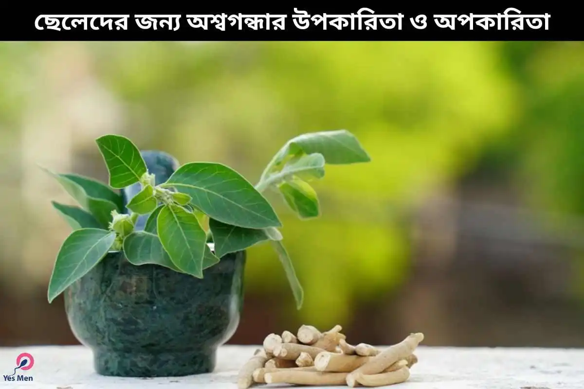 ছেলেদের জন্য অশ্বগন্ধার উপকারিতা ও অপকারিতা