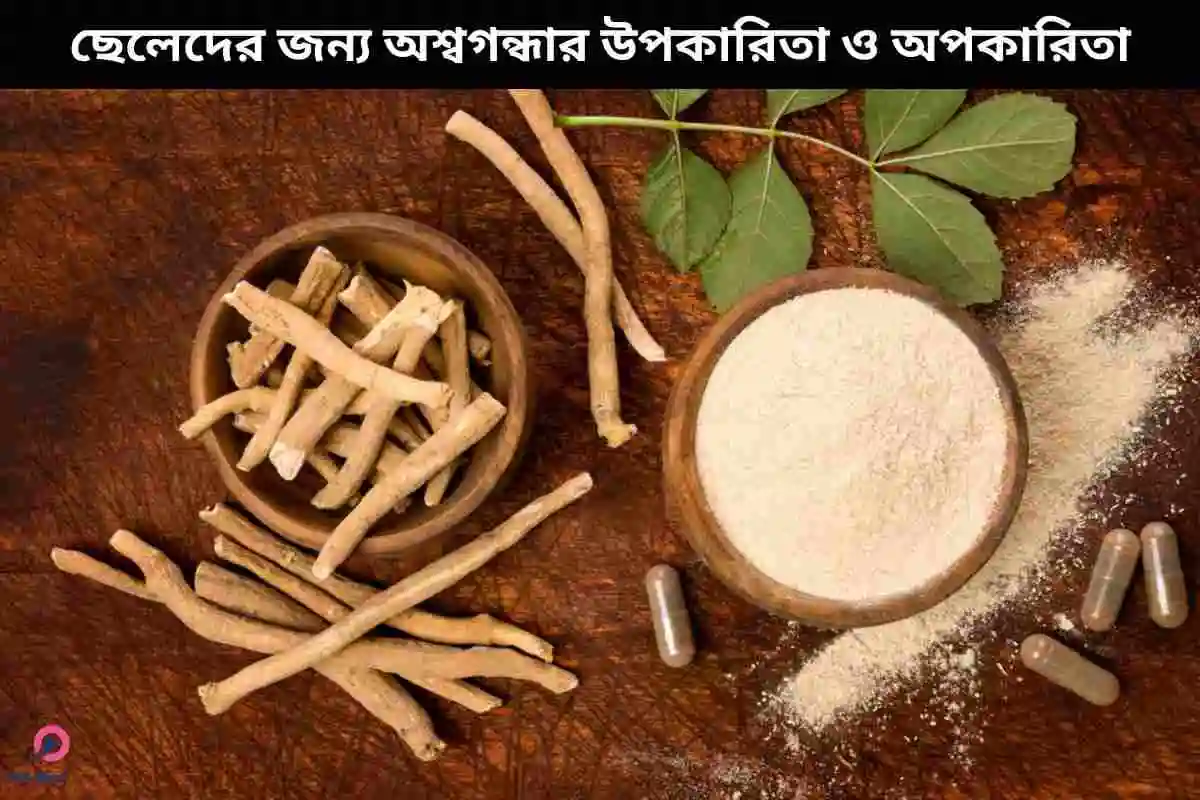 ছেলেদের জন্য অশ্বগন্ধার উপকারিতা ও অপকারিতা