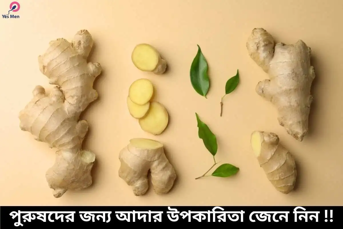 পুরুষদের জন্য আদার উপকারিতা জেনে নিন !!