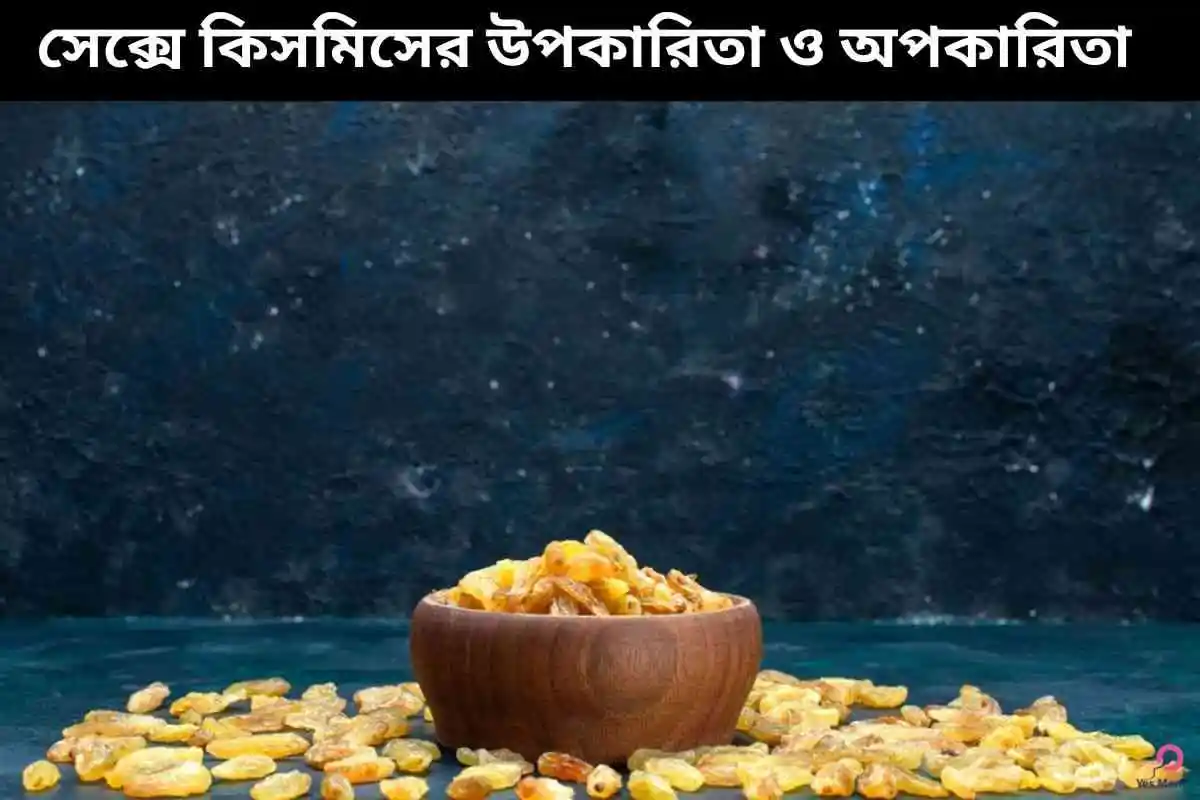 সেক্সে কিসমিসের উপকারিতা ও অপকারিতা