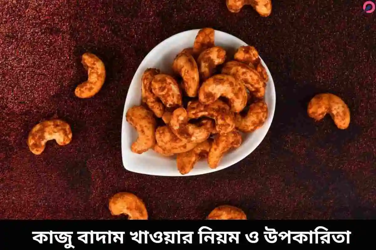 কাজু বাদাম খাওয়ার নিয়ম ও উপকারিতা জেনে নিন!!