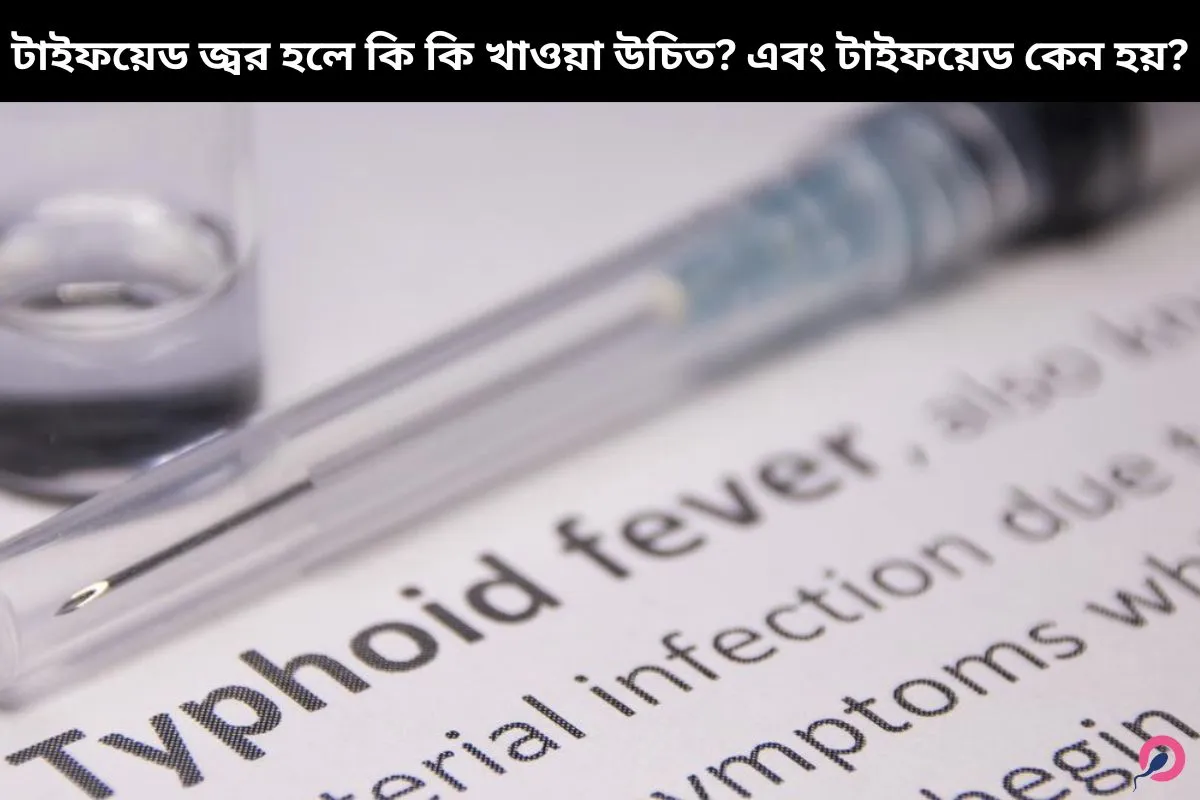 টাইফয়েড জ্বর হলে কি কি খাওয়া উচিত? এবং কি খাওয়া উচিত না?