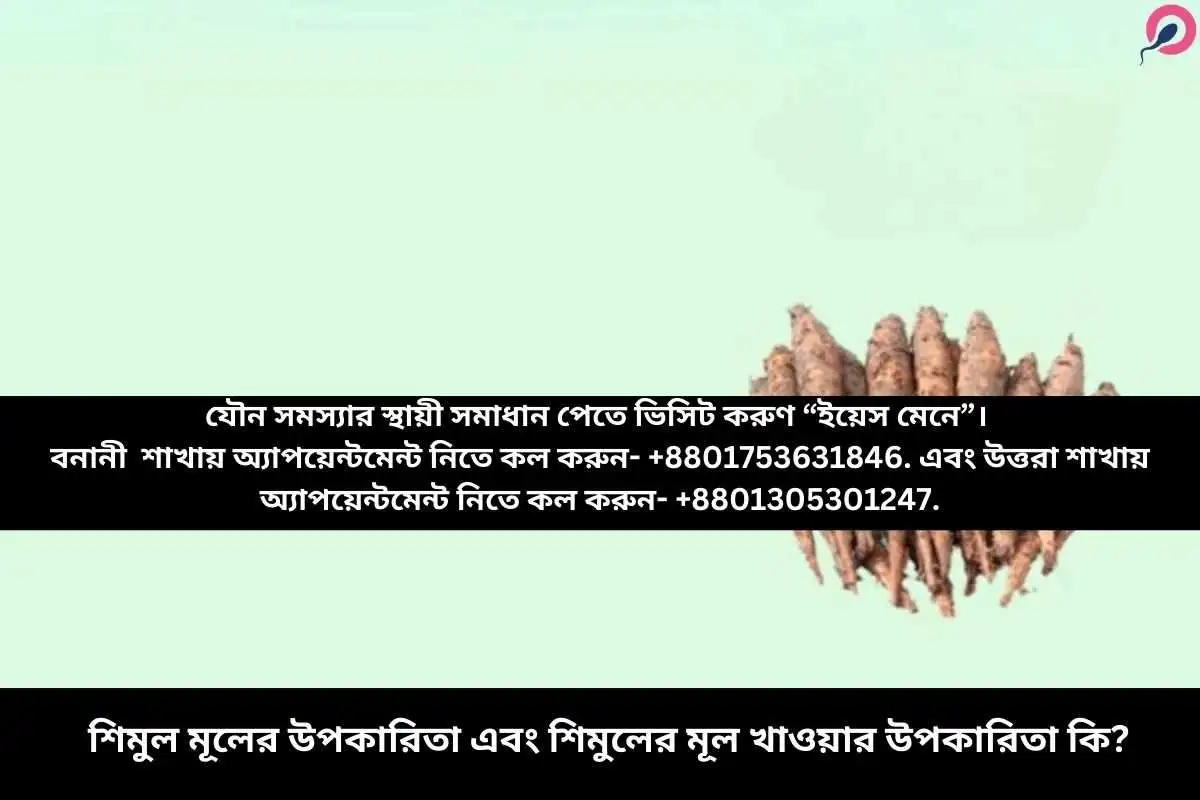 শিমুল মূলের উপকারিতা এবং শিমুলের মূল খাওয়ার উপকারিতা কি?