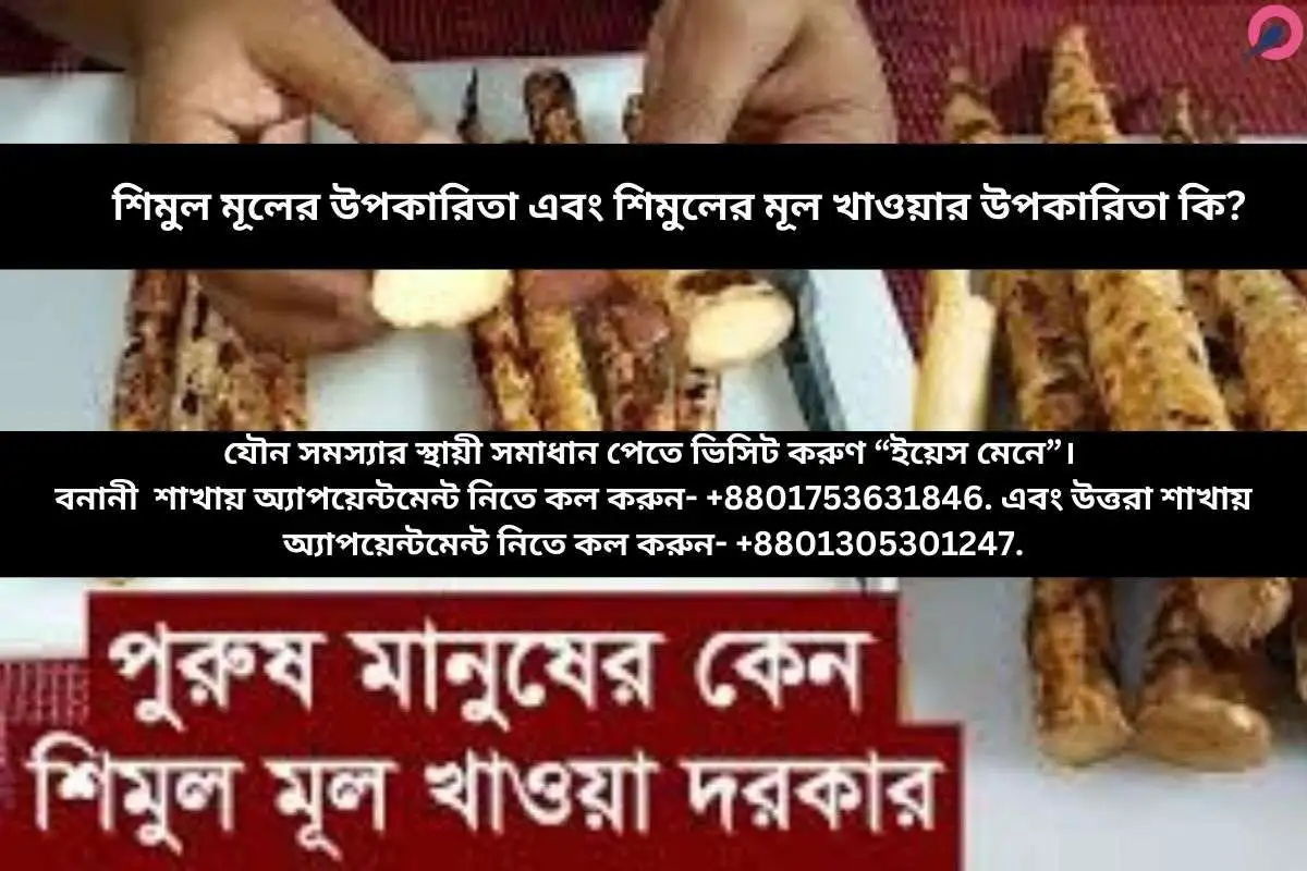 শিমুল মূলের উপকারিতা এবং শিমুলের মূল খাওয়ার উপকারিতা কি?