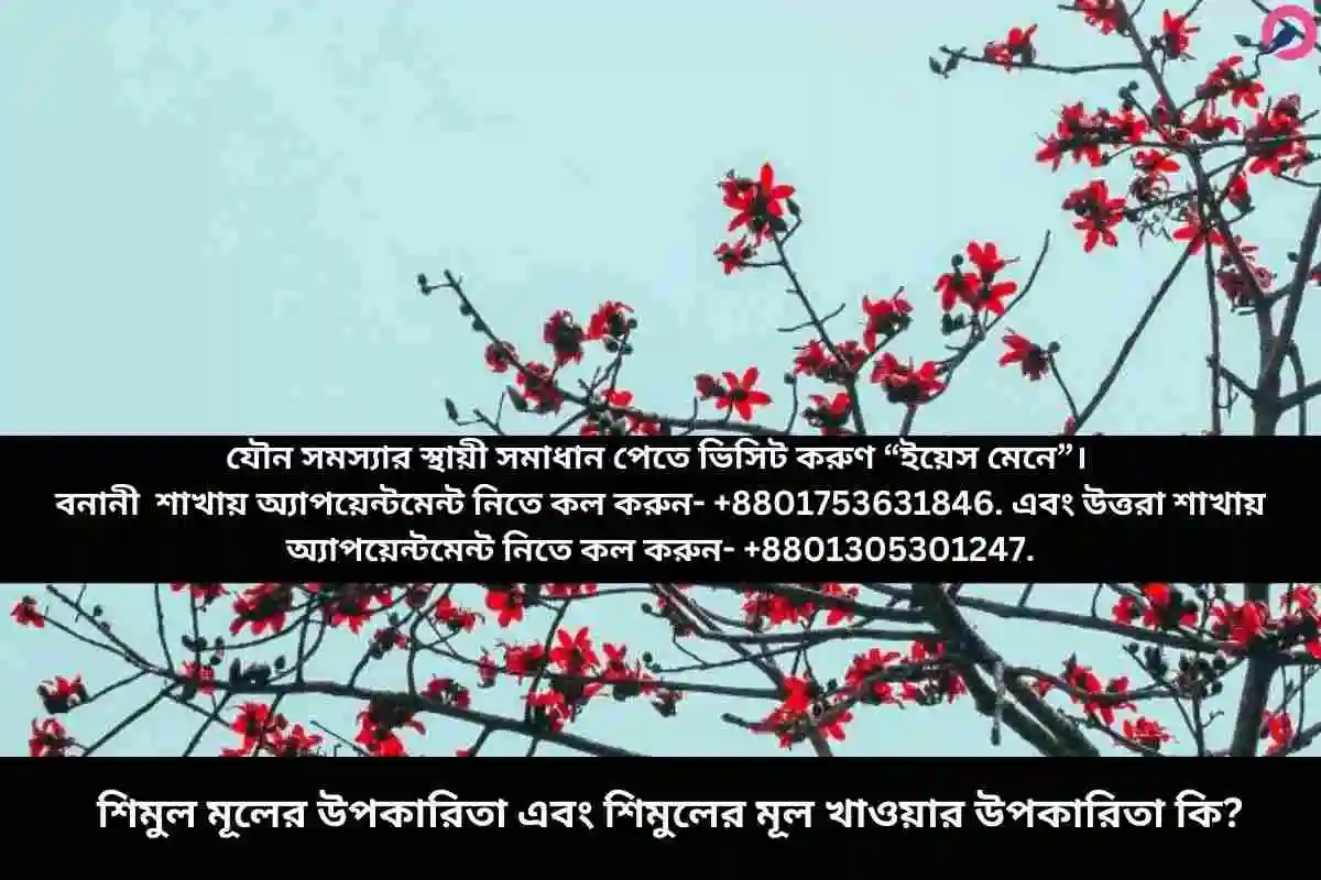 শিমুল মূলের উপকারিতা এবং শিমুলের মূল খাওয়ার উপকারিতা কি?