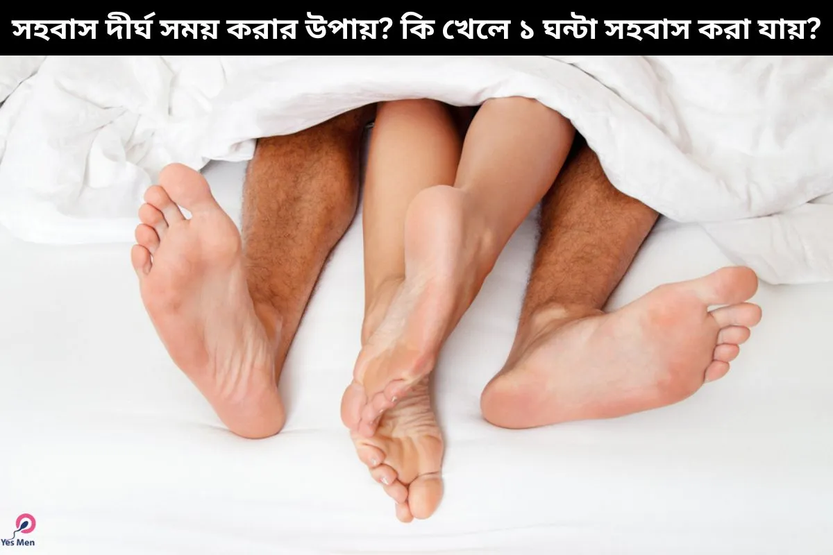 Qattiq tik kokraklar