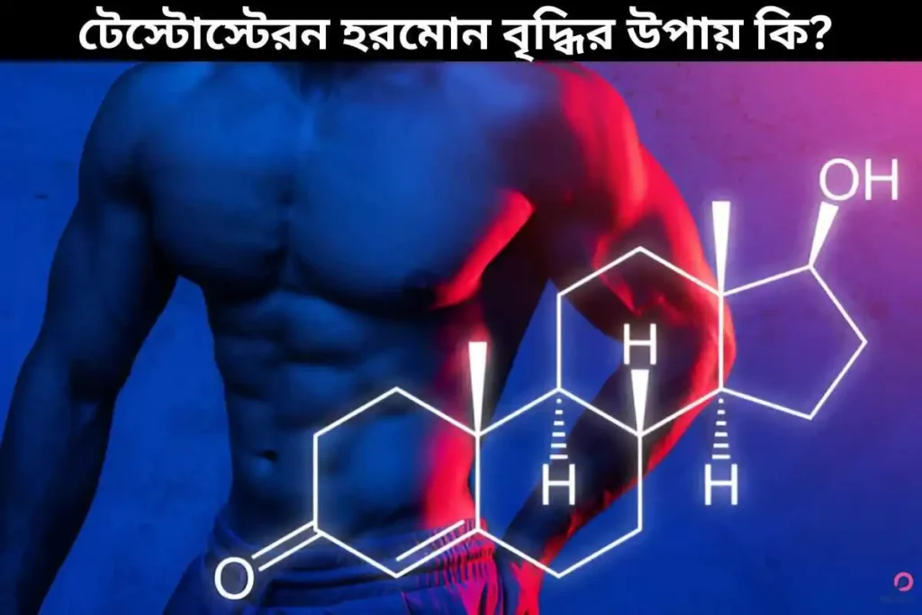 টেস্টোস্টেরন হরমোন বৃদ্ধির উপায় কি