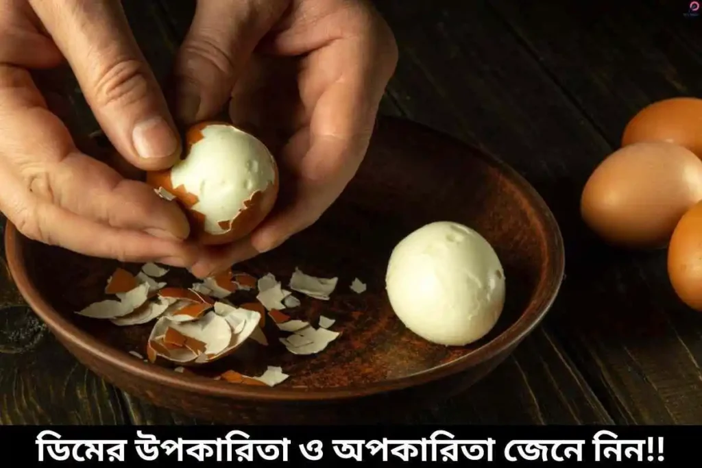 ডিমের উপকারিতা ও অপকারিতা জেনে নিন!!