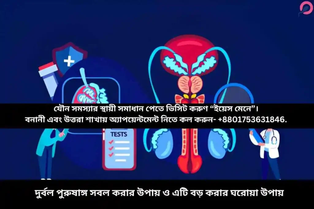 দুর্বল পুরুষাঙ্গ সবল করার উপায় ও এটি বড় করার ঘরোয়া উপায়